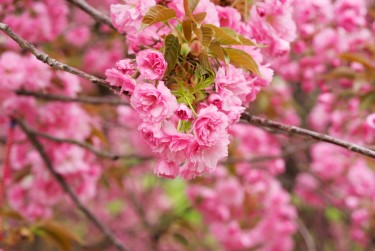 宁波鄞州区线下个人借款平台一站式服务，轻松解决资金难题