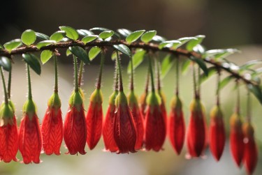 宁波鄞州区零用贷短借：轻松解决临时资金需求